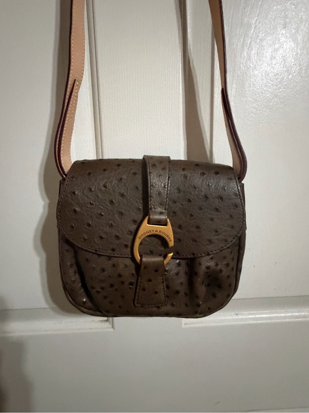 Dooney & Bourke Brown Leather Crossbody Bag